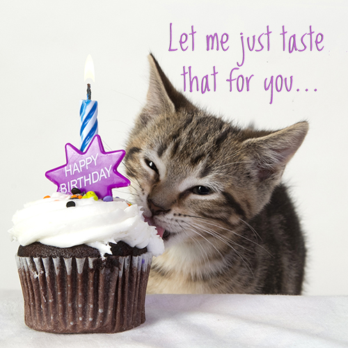 Let Me Taste It For You