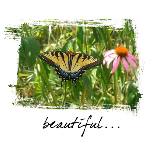 Beautiful