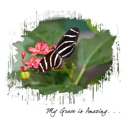 My Grace Is Amazing