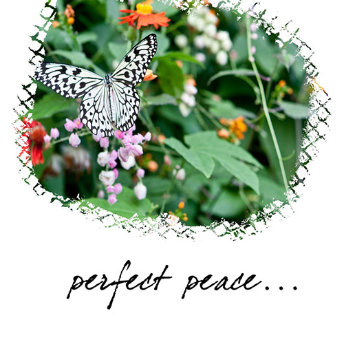 Perfect Peace