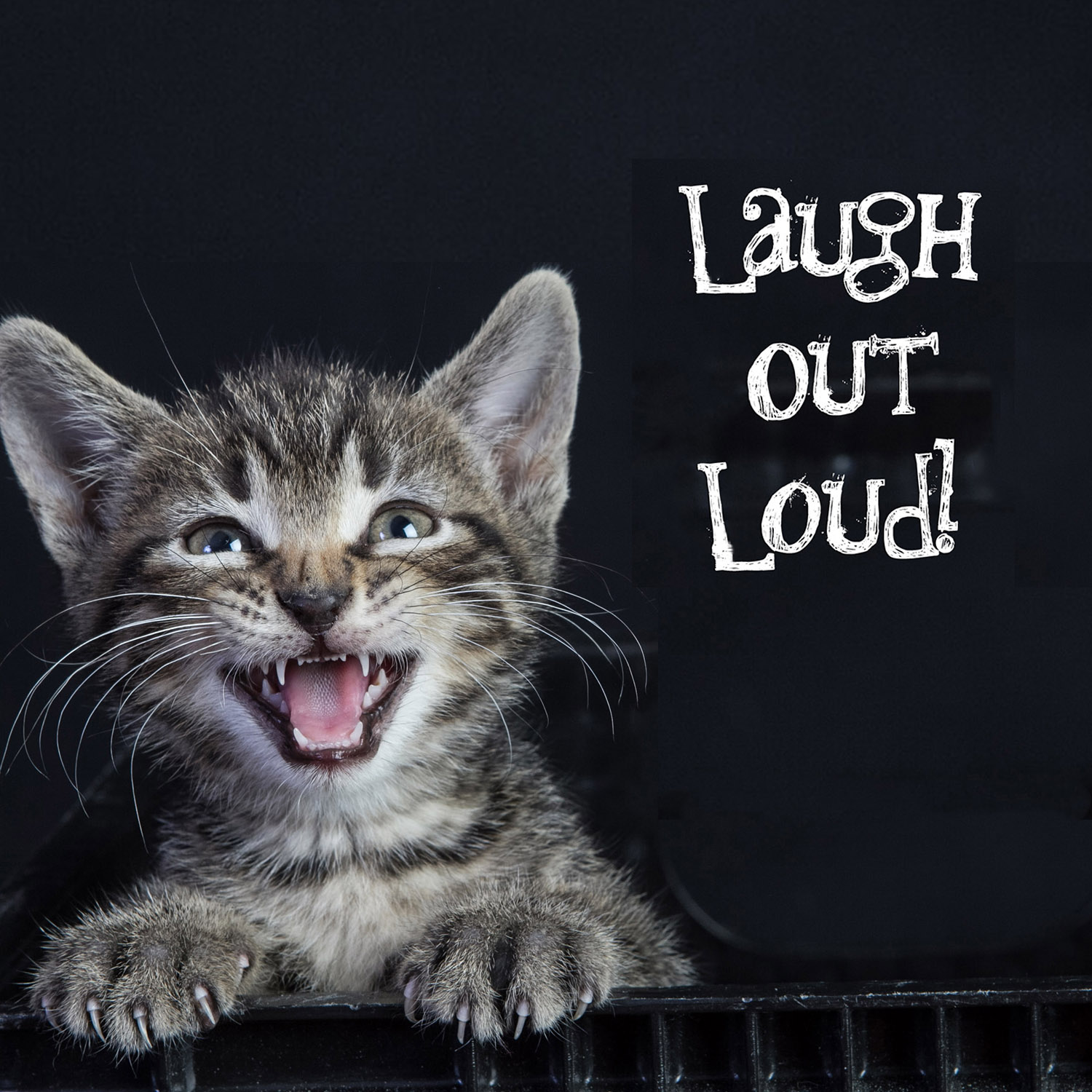Laugh Out Loud
