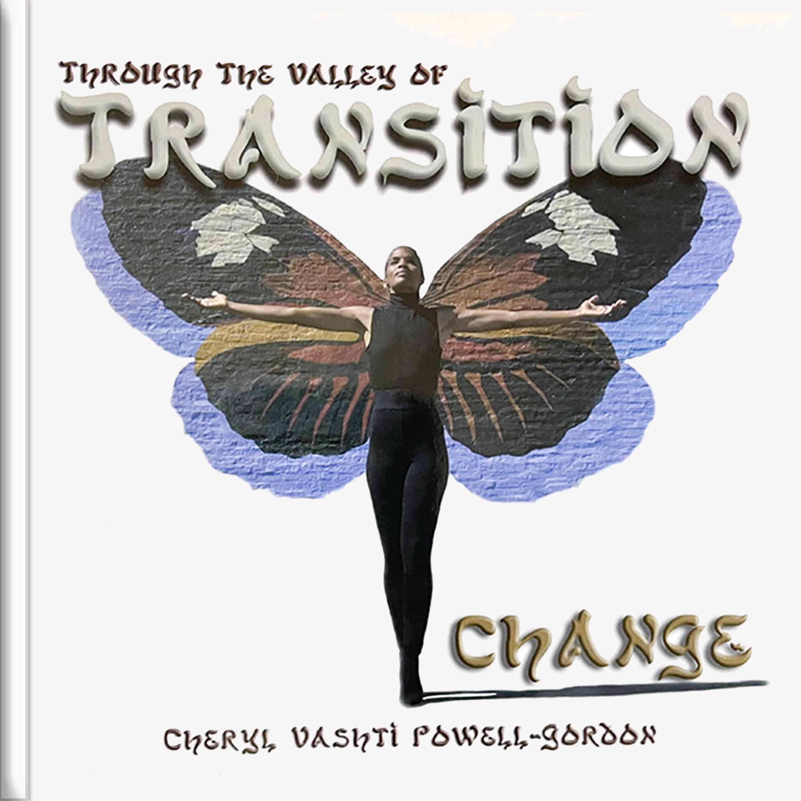 Through The Valley Of Transition Book Cover