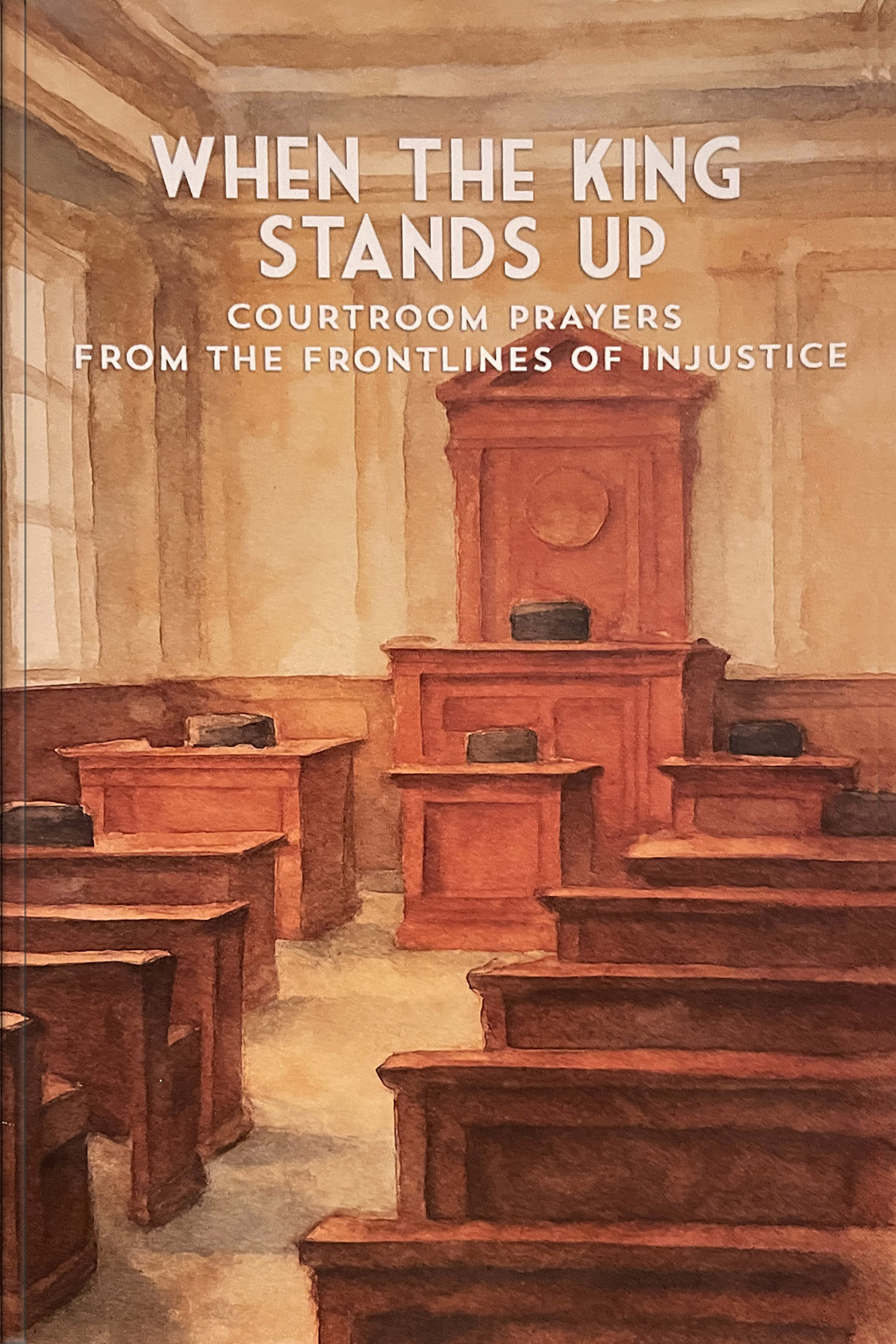 When The King Stands Up Book Cover